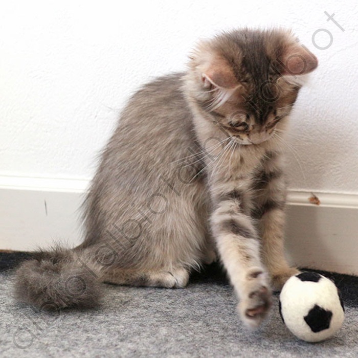 おもちゃ コロコロフェルトトイ サッカーボール (TY-150)