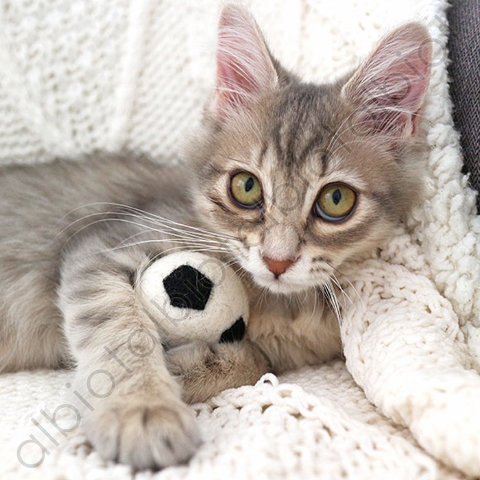 おもちゃ コロコロフェルトトイ サッカーボール (TY-150)