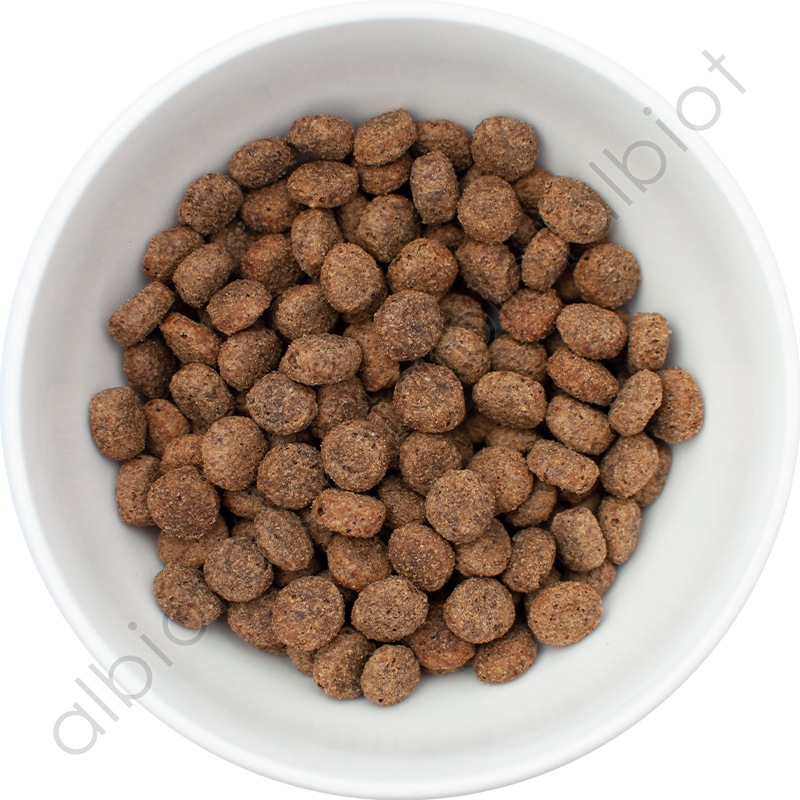 ナウフレッシュ グレインフリー シニア＆ウェイトマネジメント 5.44kg レギュラー粒 ドッグフード