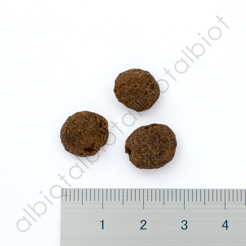 ナウフレッシュ グレインフリー シニア＆ウェイトマネジメント 5.44kg レギュラー粒 ドッグフード