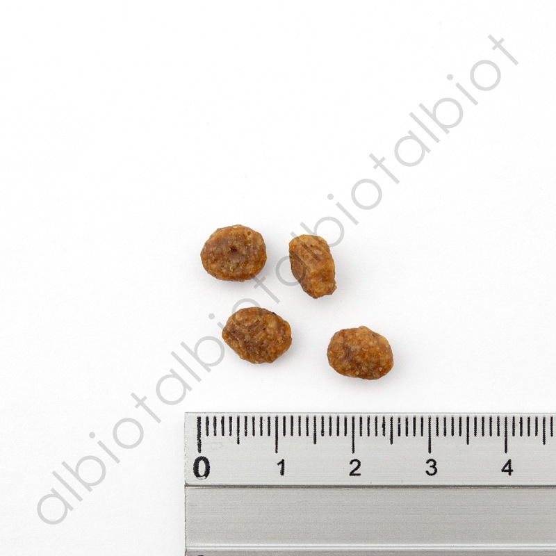 ナチュラルバランス LID RESERVE 猫用 ダック&グリーンピースレシピ キャットフード ドライフード（旧グリーンピース＆ダック）