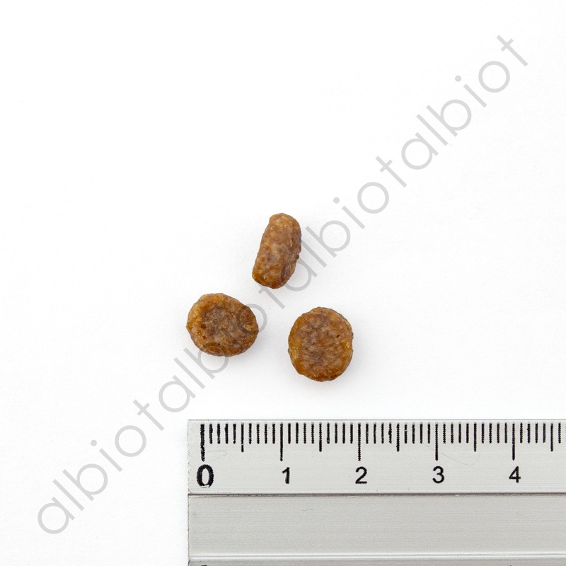 ナチュラルバランス LID 猫用 サーモン&グリーンピースレシピ キャットフード ドライフード（旧サーモン＆チックピー）