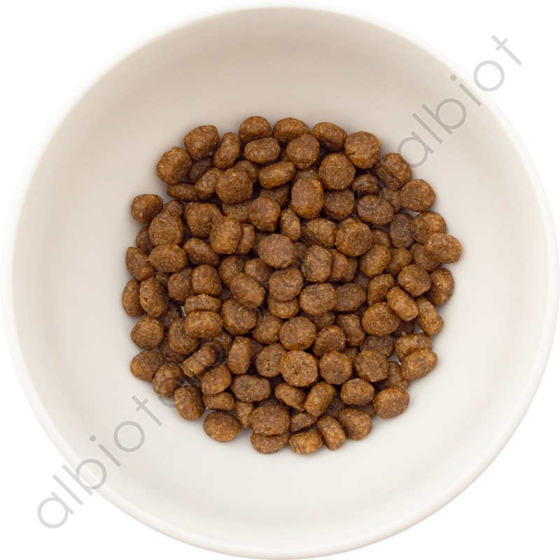 ナチュラルバランス LID 猫用 サーモン&グリーンピースレシピ キャットフード ドライフード（旧サーモン＆チックピー）