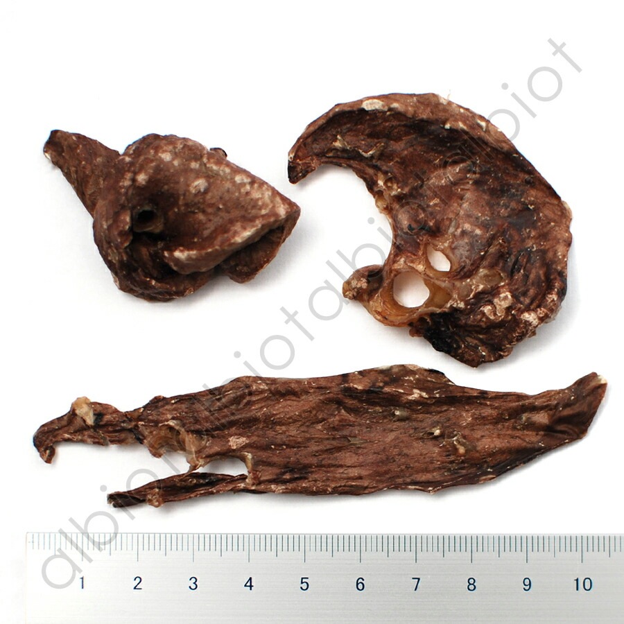 ナチュラルハーベスト 千葉ポークラング 大袋 70g