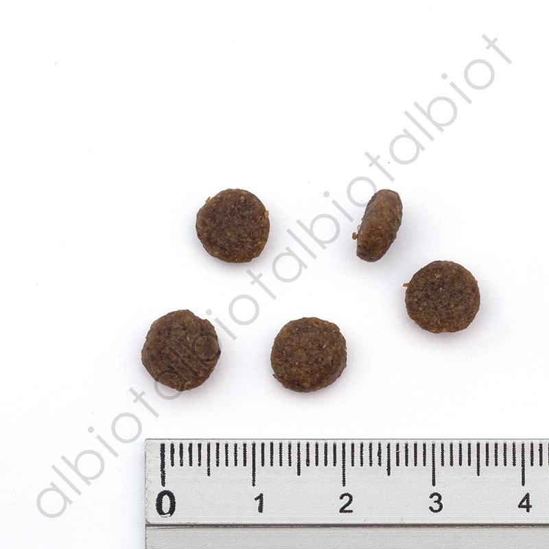 リアルネイチャーレシピ NO.1 プレイリーラム スモールブリード（小粒）ドッグフード