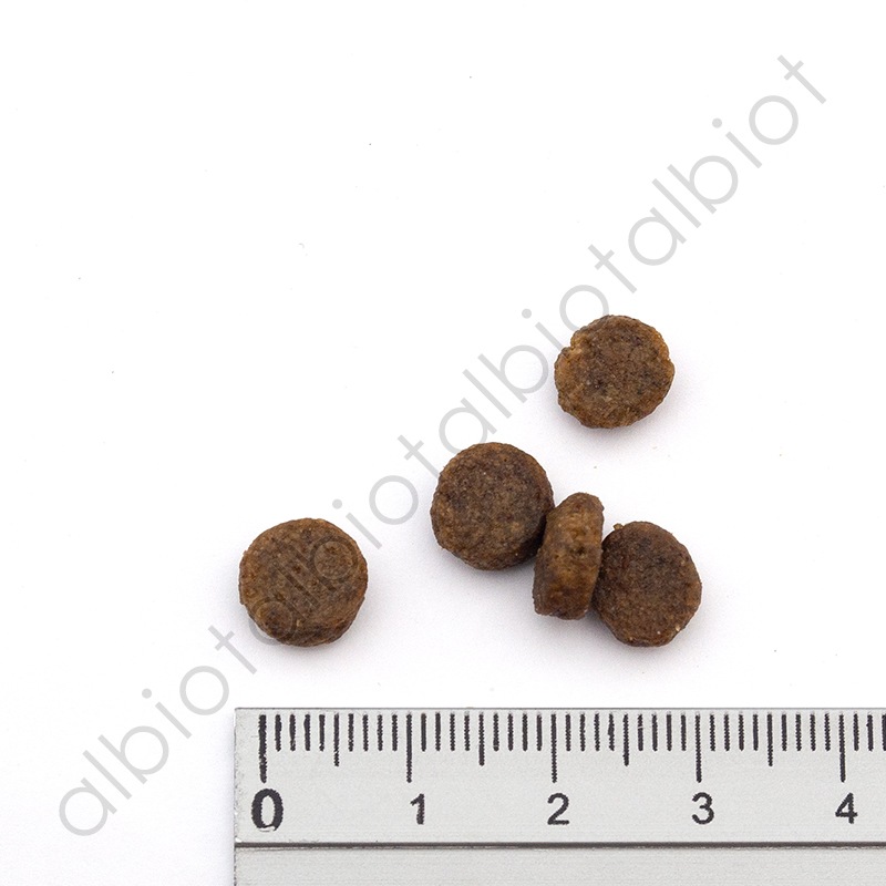 リアルネイチャーレシピ NO.3 オーシャンサーモン スモールブリード（小粒）ドッグフード