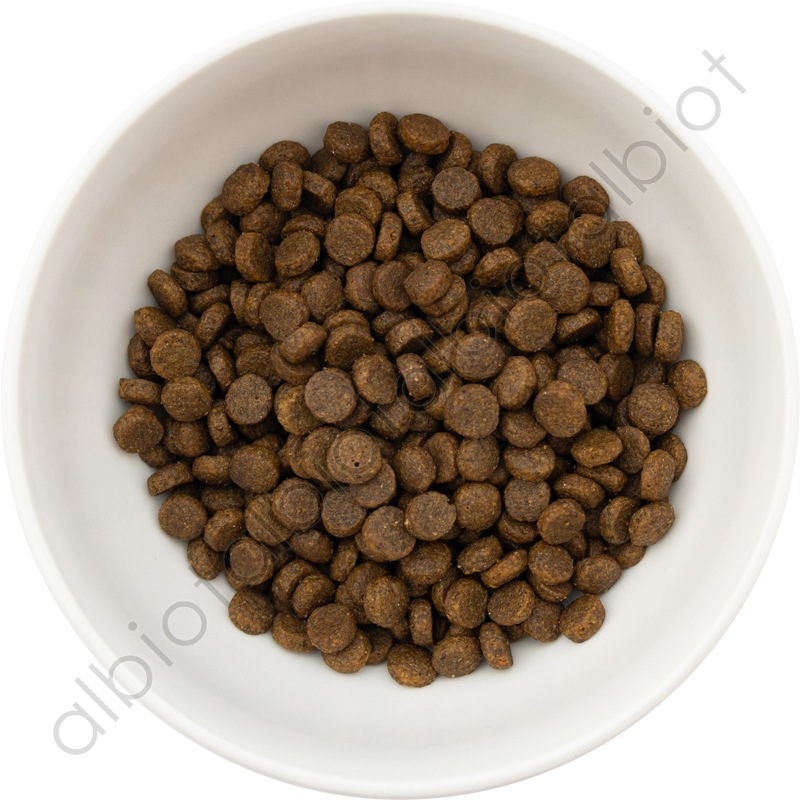 リアルネイチャーレシピ NO.3 オーシャンサーモン スモールブリード（小粒）ドッグフード