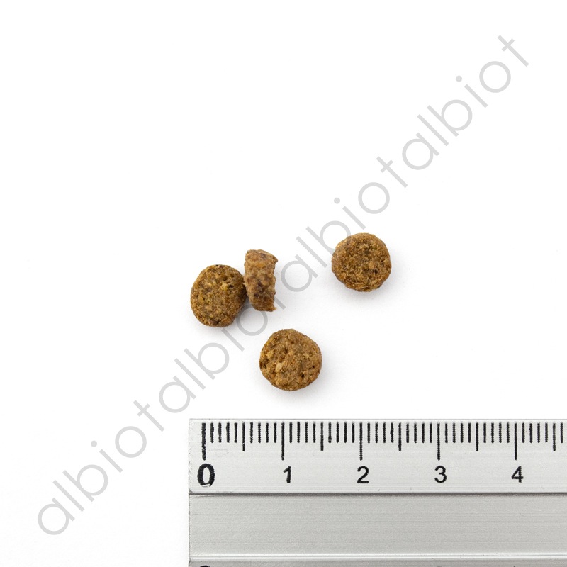 ナチュラルバランス オリジナルウルトラ 猫用 低カロリーレシピ FAT CAT キャットフード ドライフード（旧リデュースカロリーキャット）