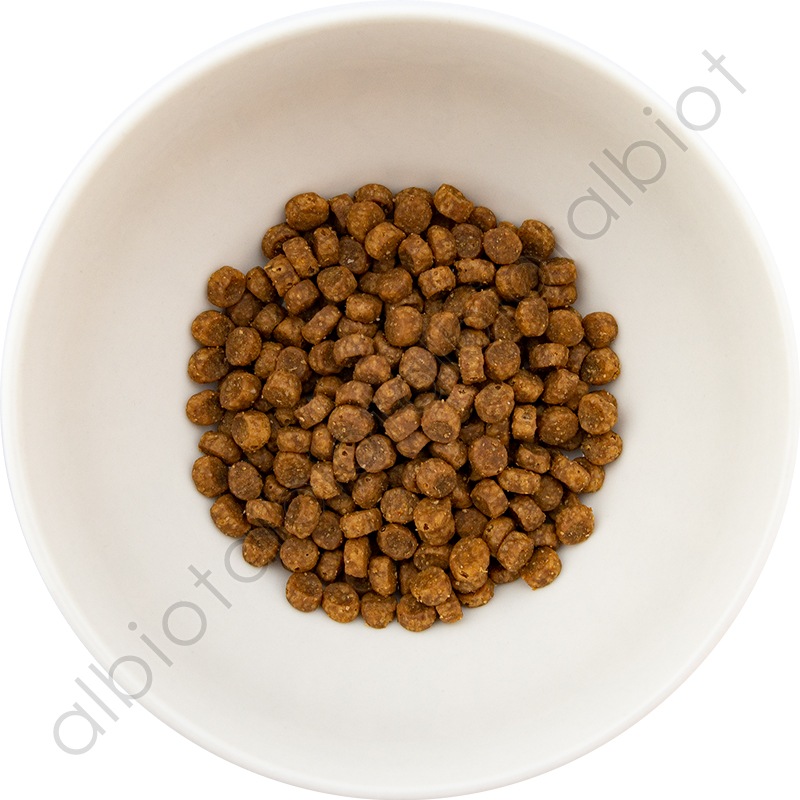 GO! ソリューションズ LID ダック 500g キャットフード