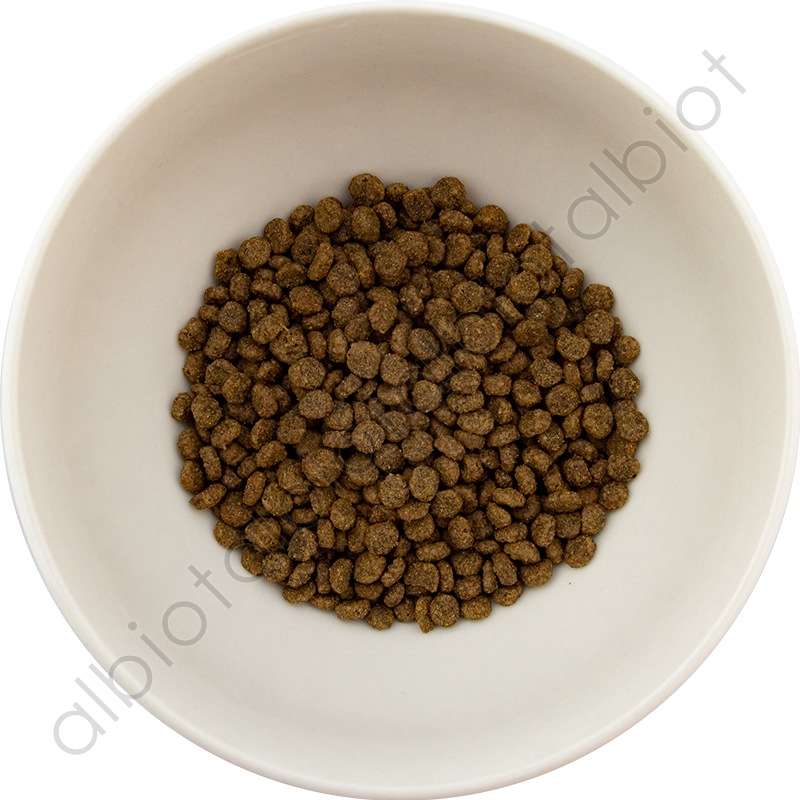 GO! ソリューションズ 体重管理+関節ケア チキンキャット 500g キャットフード