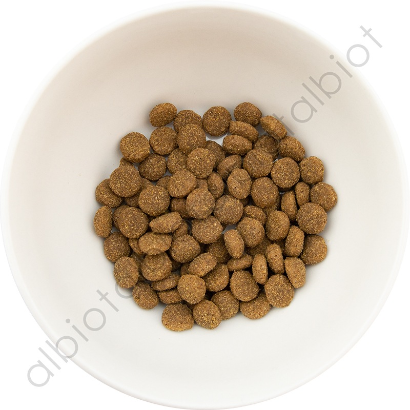 GO! ソリューションズ 消化+腸の健康ケア サーモンレシピ 800g ドッグフード