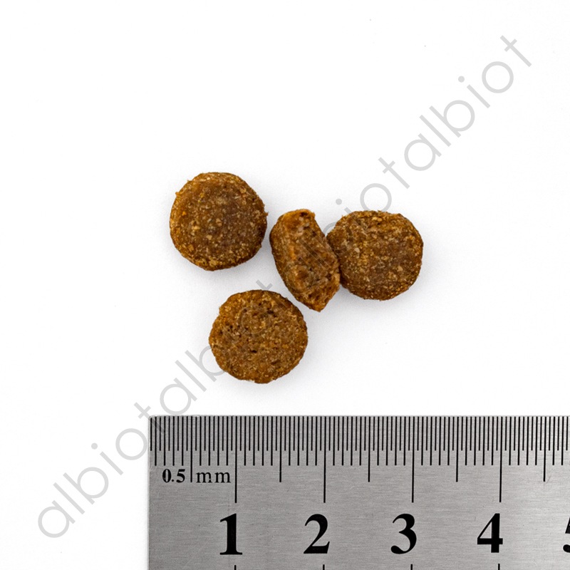 GO! ソリューションズ 消化+腸の健康ケア サーモンレシピ 800g ドッグフード