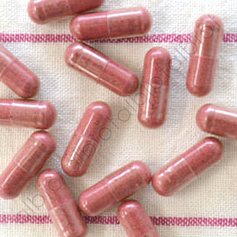 ECLECTIC Pets クランベリー 300mg×15カプセル