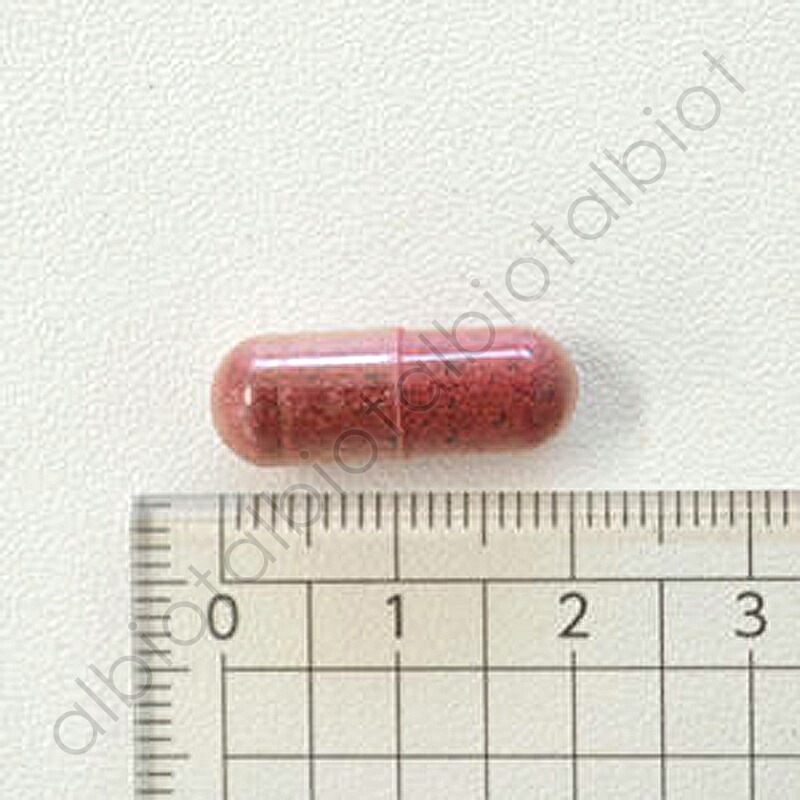 ECLECTIC Pets クランベリー 300mg×15カプセル