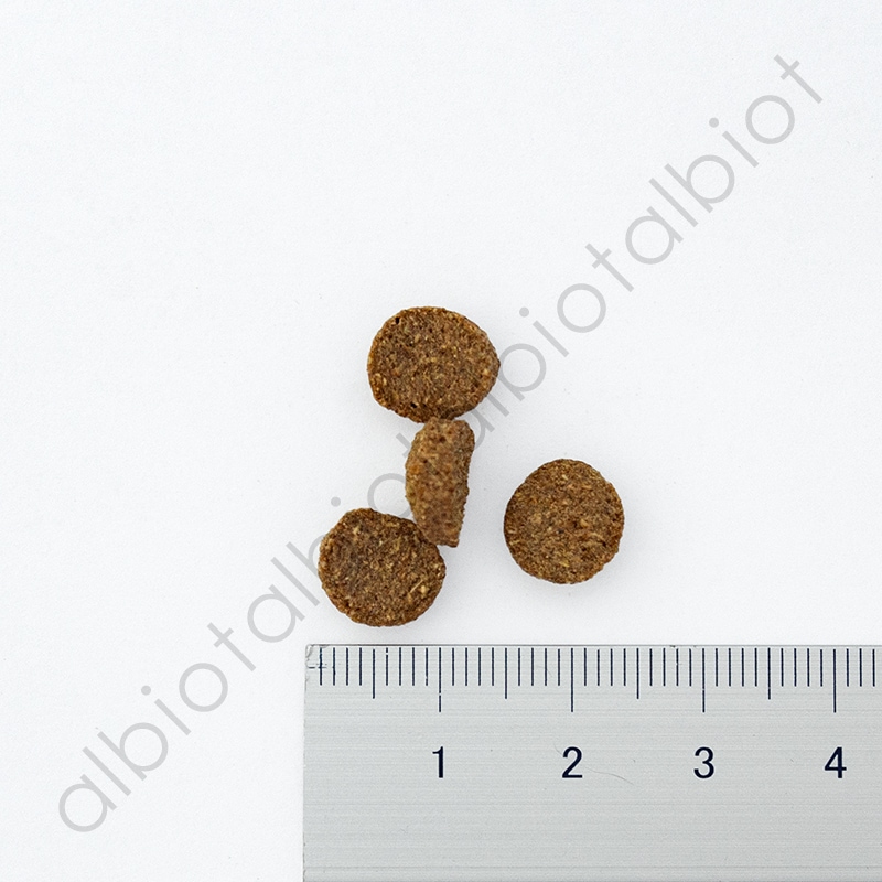 ナチュラルハーベスト レジームスモール[ラム]