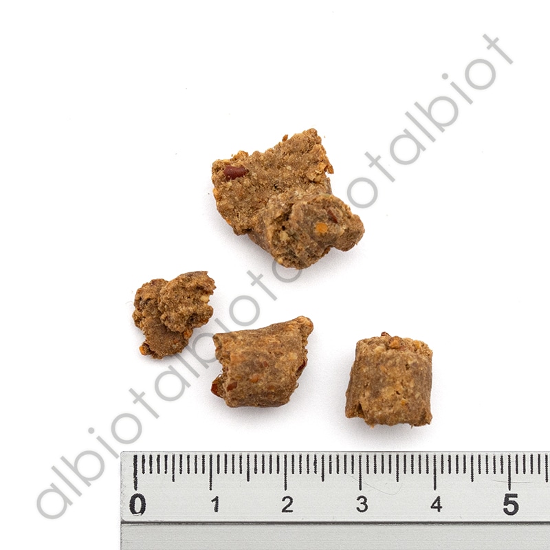 ニュートライプ クランチ オーブンベークド ビーフwithグリーントライプ ドッグフード【1.8kgのみ20%オフキャンペーン】