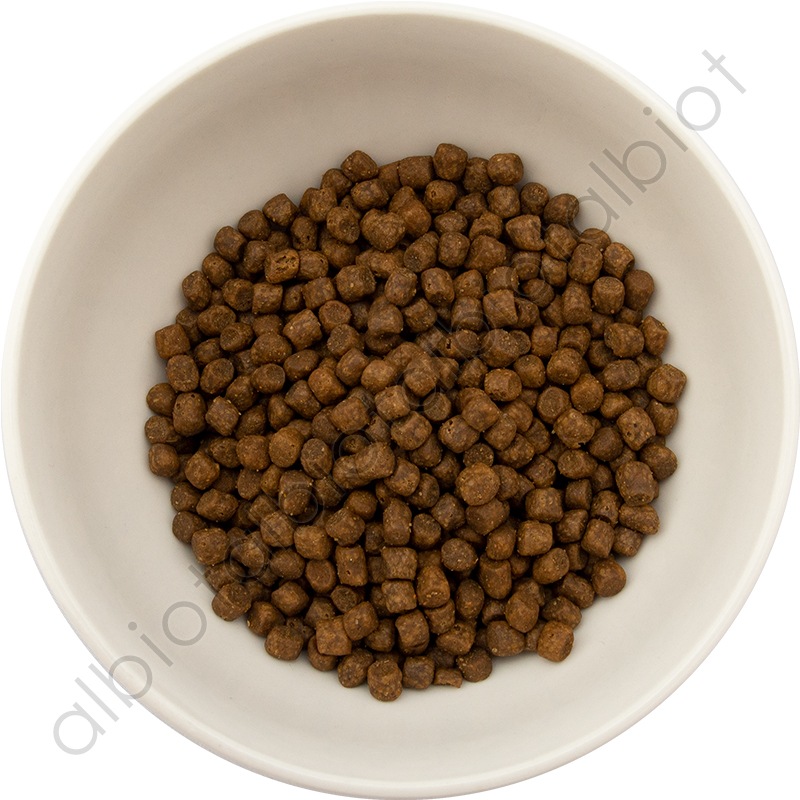 GO! ソリューションズ カーニボア サーモン＋タラ 500g キャットフード