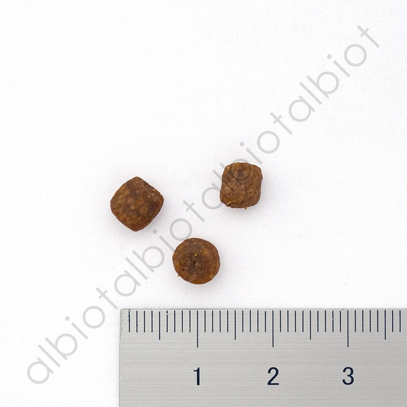 GO! ソリューションズ カーニボア サーモン＋タラ 500g キャットフード