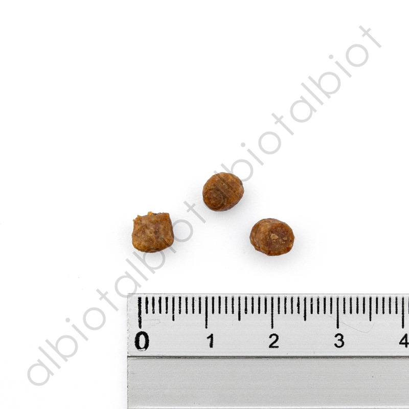 ナウフレッシュ グッドグレービー アダルトキャット チキンレシピ キャットフード