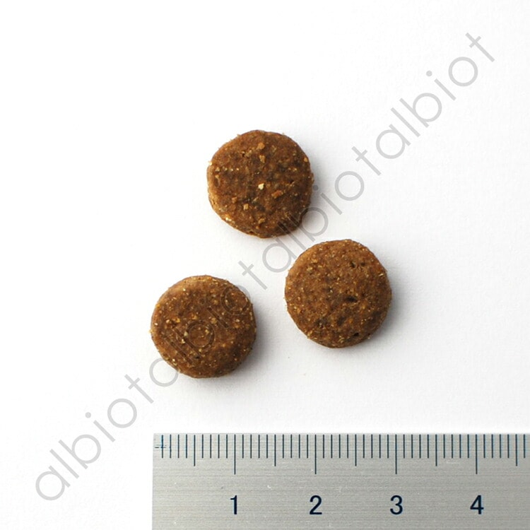 ブリスミックス ラム 中粒 ドッグフード