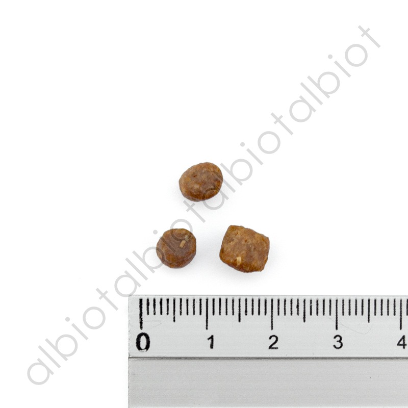 ナウフレッシュ グッドグレービー アダルトキャット サーモンレシピ キャットフード