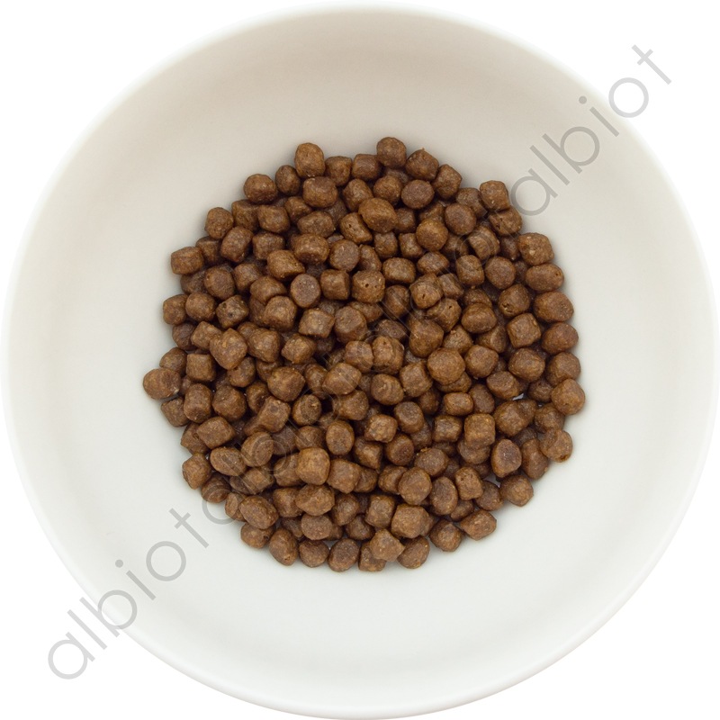 ナウフレッシュ グッドグレービー アダルトキャット サーモンレシピ キャットフード