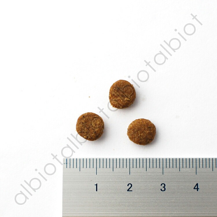 ブリスミックス グレインフリー サーモン 小粒 ドッグフード