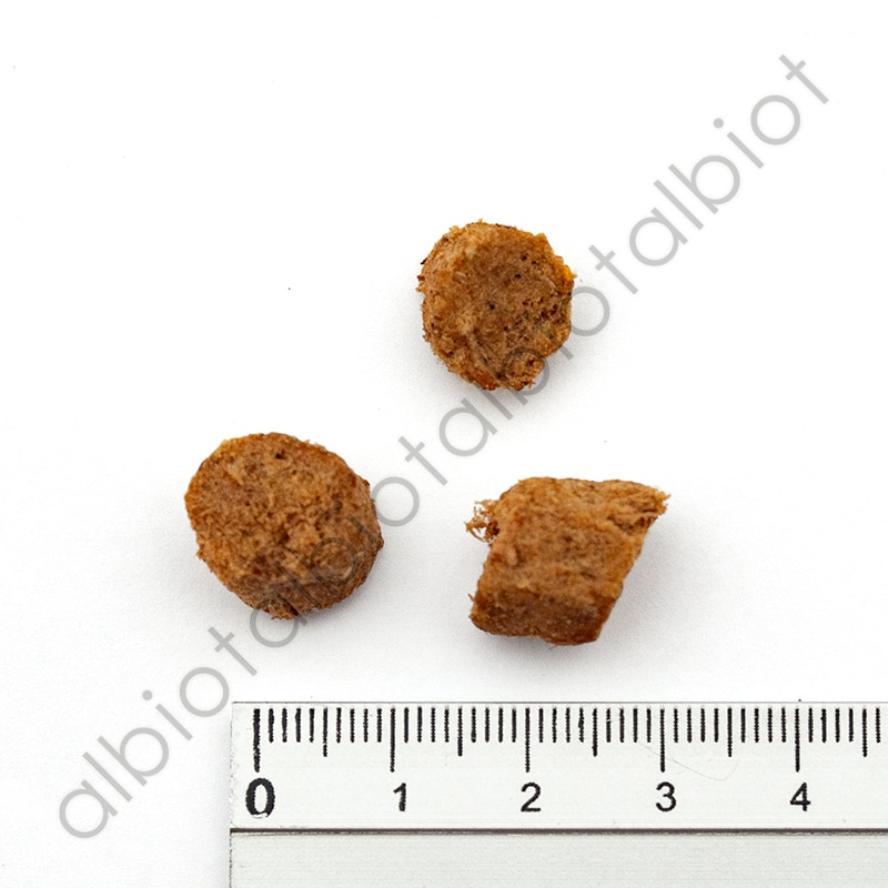 ニュートライプ ワイルドカット フリーズドライ キングサーモン＆ラムwithグリーントライプ ドッグフード