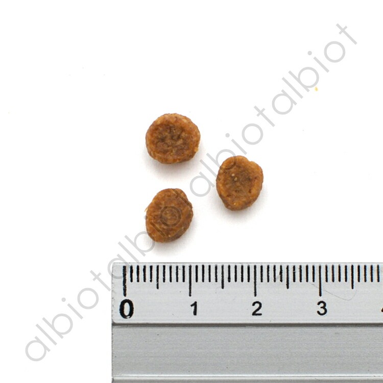 アーテミス スモールブリードパピー 3kg