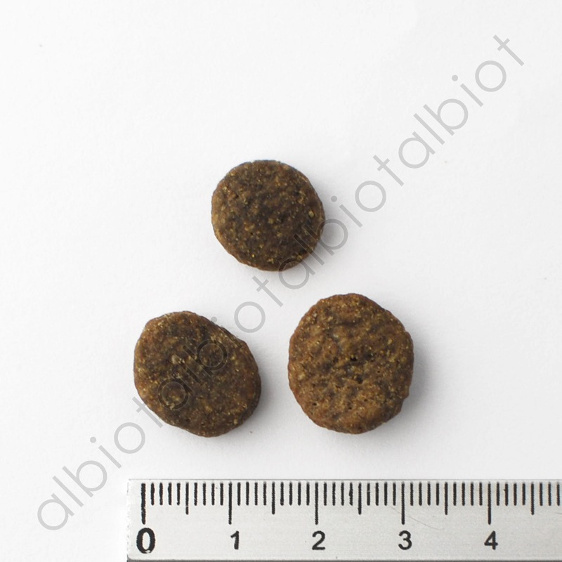 アカナ グラスフェッドラム 2kg