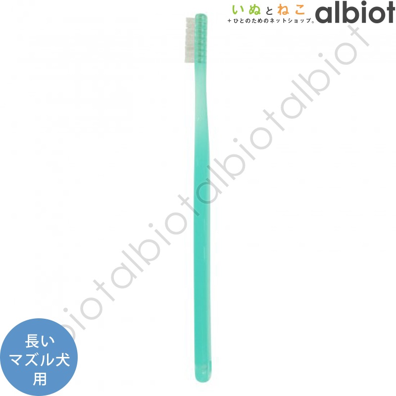 トーラス デントレーナー