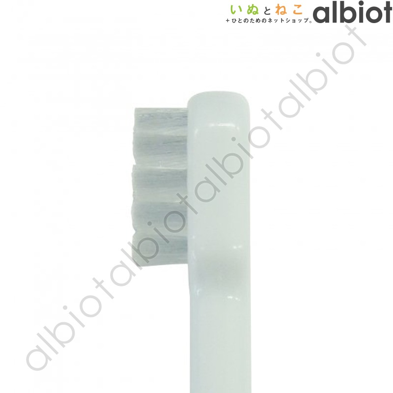 トーラス デントレーナー