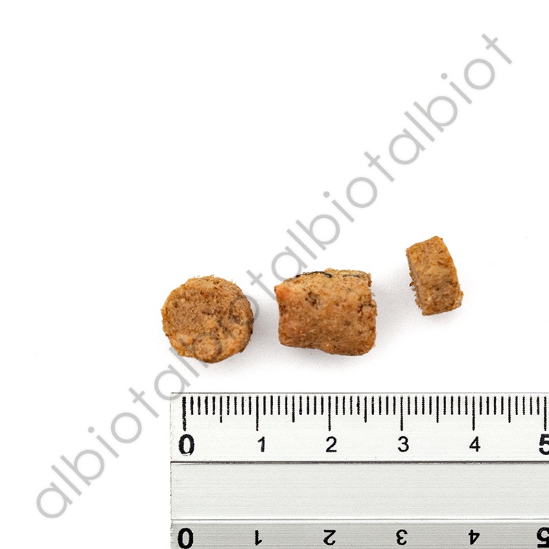 ニュートライプ ワイルドカット フリーズドライ [猫用]フィッシュ＆ラムwithグリーントライプ キャットフード 15g(:135285）