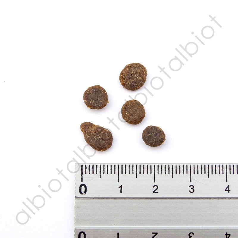 キアオラ KiaOra CAT ケージフリーチキン キャットフード