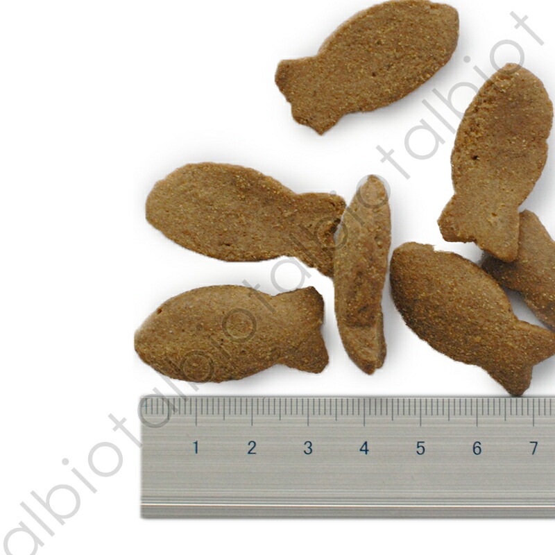 フィッシュ4ドッグ サポートトリーツ 関節ケア 225g