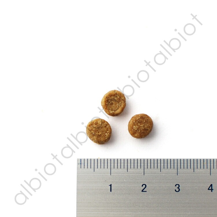 ブリスミックス チキン 1kg キャットフード