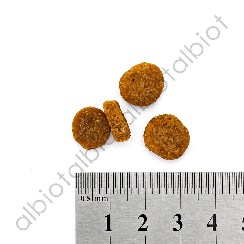 ブリスミックス チキン 中粒 3kg ドッグフード