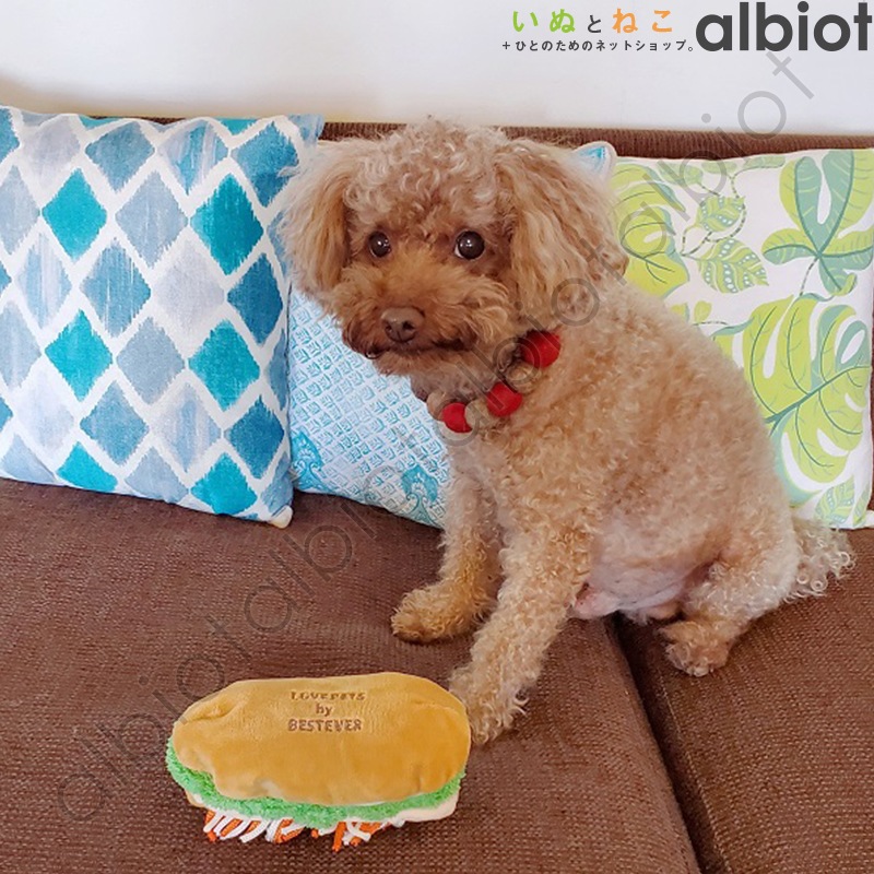 スクィーキー バインミー (#47221)