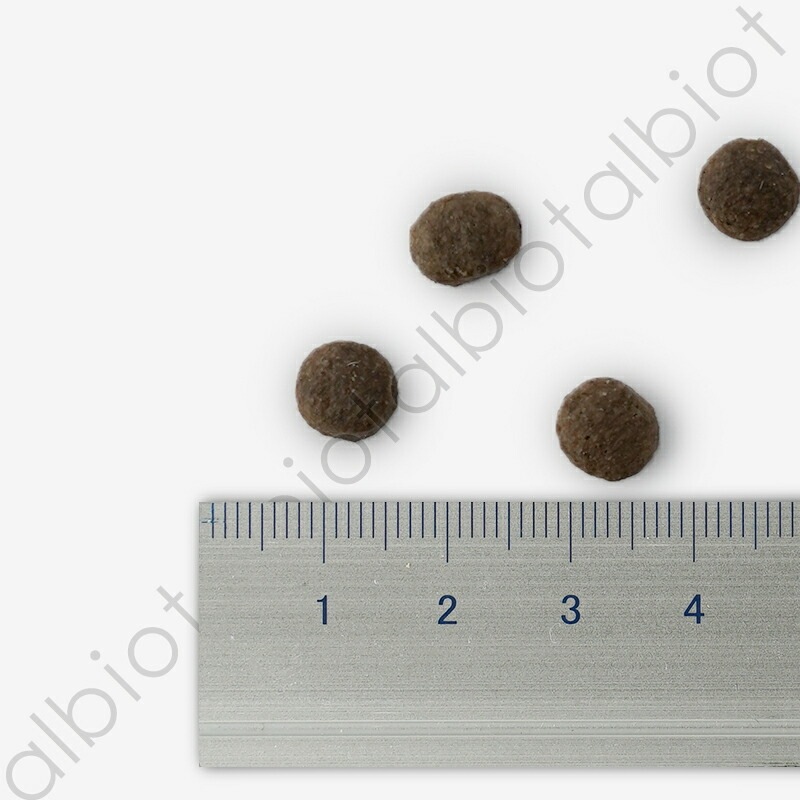 ブリスミックス pHコントロール 1kg キャットフード