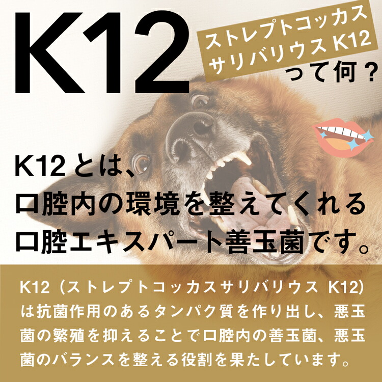 ブリスミックス pHコントロール 2kg キャットフード