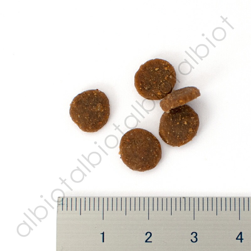 アカナ ワイルドプレイリーキャット キャットフード