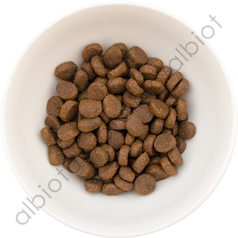 オリジン パピー 2kg