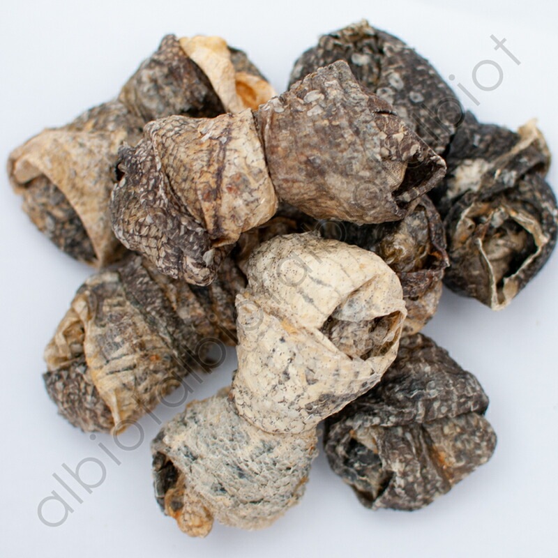 フィッシュ4ドッグ シージャーキー フィッシュノッツ 100g