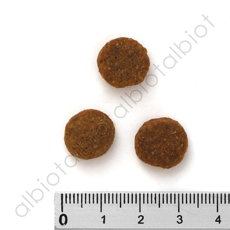 アーテミス アダルトドッグ 6kg