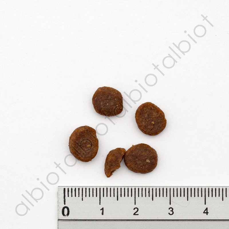 アカナ グラスランドキャット 340g