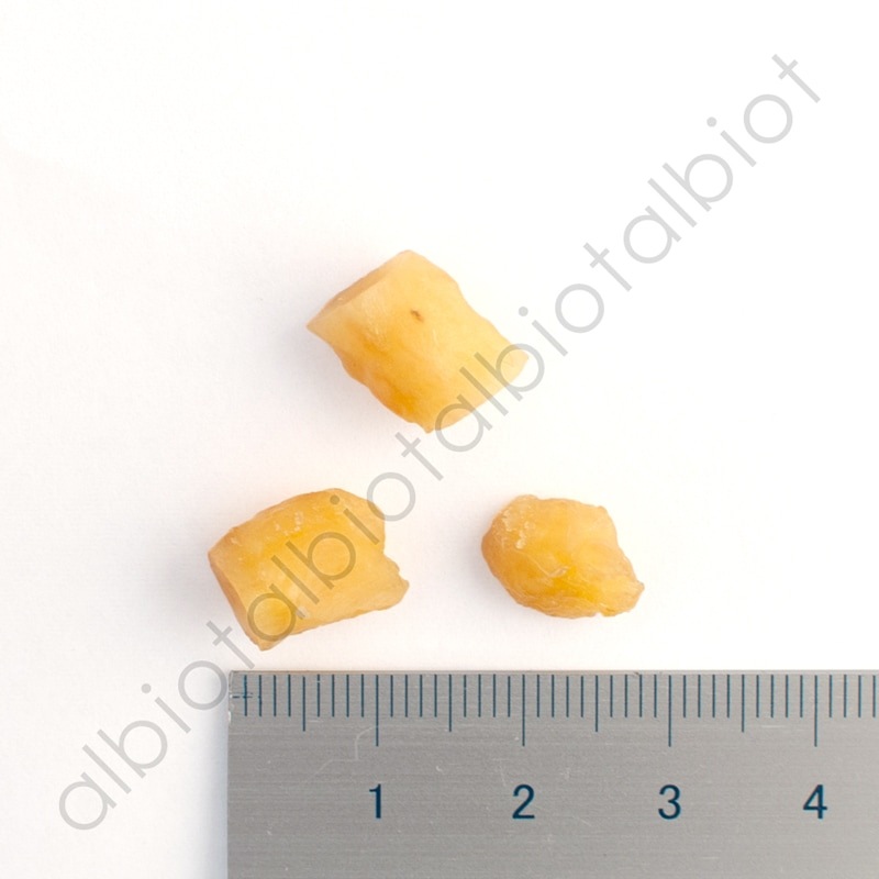 ナチュラルハーベスト ジャーキーマイスター チキン 50g