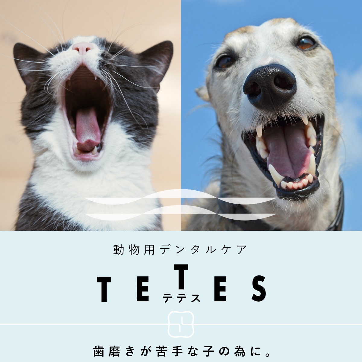 TETES （テテス） 動物用デンタルケア 100ml