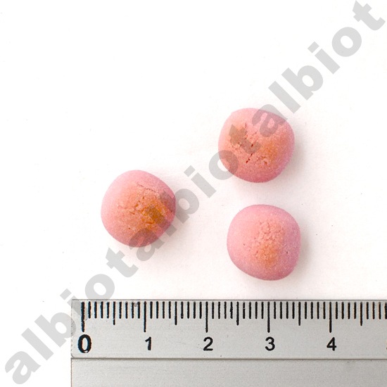 イミューンナチュラル ヤミーボーロ 70g ［ さつまいも | ブルーベリー | 山羊ミルク ］