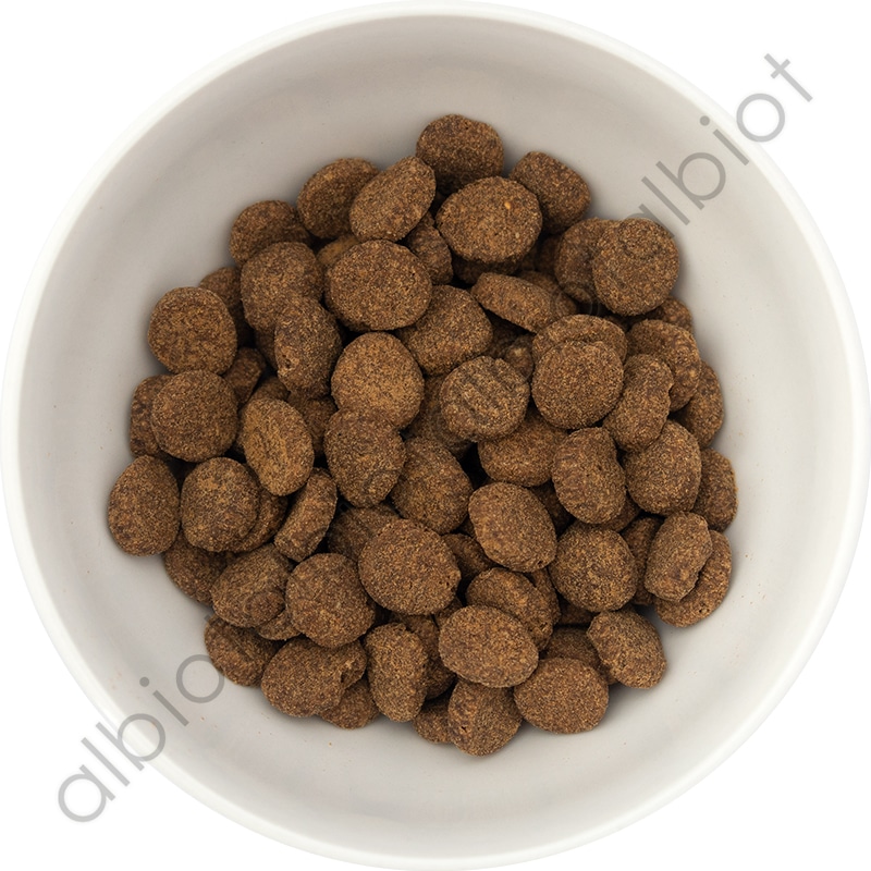 オリジン シニア 2kg