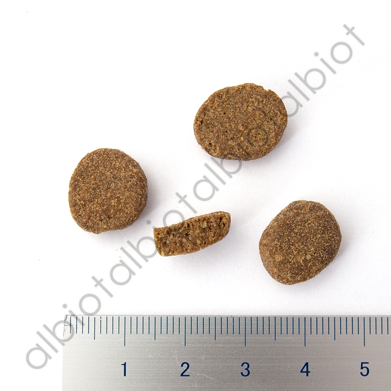 オリジン シニア 2kg